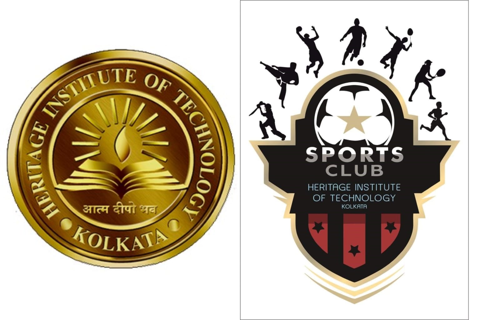 MY PORTFOLIO my-portfolio